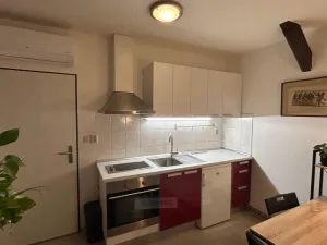 Pronájem bytu 1+kk, České Budějovice - České Budějovice 6, Mánesova, 22 m2