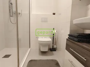 Pronájem bytu 2+kk, Brno - Zábrdovice, Slepá, 45 m2