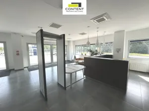 Pronájem výrobních prostor, Olomouc - Řepčín, 12900 m2