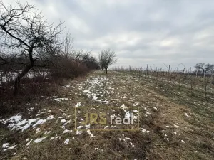 Prodej pozemku, Bzenec, 1231 m2