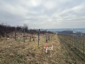 Prodej pozemku, Bzenec, 1231 m2