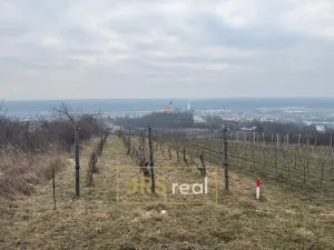 Prodej pozemku, Bzenec, 1231 m2