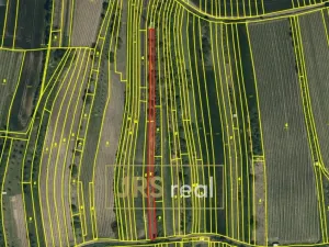 Prodej pozemku, Bzenec, 1231 m2