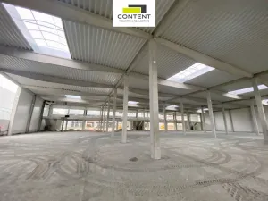 Pronájem výrobních prostor, Benátky nad Jizerou - Benátky nad Jizerou II, Průmyslová, 22455 m2