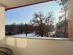 Pronájem bytu 2+1, Cheb, Americká, 61 m2