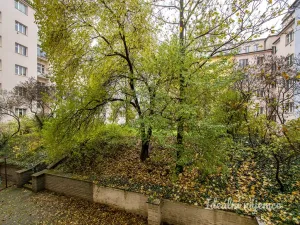 Pronájem bytu 2+kk, Praha - Žižkov, Přemyslovská, 46 m2