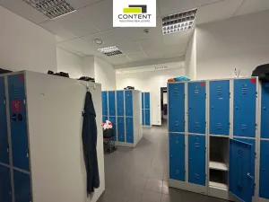 Pronájem skladu, Chrášťany, Za Tratí, 4100 m2