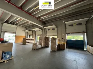 Pronájem výrobních prostor, Říčany, U Sanitasu, 11000 m2