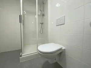 Pronájem bytu 1+kk, Brno - Maloměřice, Hády, 37 m2