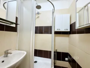 Pronájem bytu 2+1, Ústí nad Labem, Kozinova, 55 m2