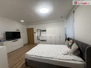 Pronájem bytu 1+kk, Tisá, 33 m2