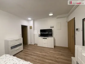 Pronájem bytu 1+kk, Tisá, 33 m2