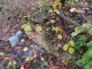 Dražba zahrady, Staré Město, 490 m2