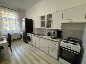 Pronájem bytu 1+1, České Budějovice - České Budějovice 6, Mánesova, 44 m2