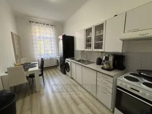 Pronájem bytu 1+1, České Budějovice - České Budějovice 6, Mánesova, 44 m2