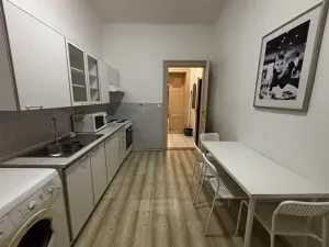 Pronájem bytu 1+1, České Budějovice - České Budějovice 6, Mánesova, 44 m2