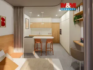 Prodej bytu 1+kk, Ostrava - Zábřeh, Čujkovova, 28 m2