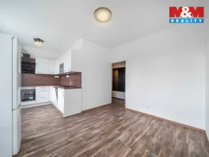 Pronájem bytu 2+kk, Plzeň - Východní Předměstí, 48 m2