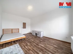 Pronájem bytu 2+kk, Plzeň - Východní Předměstí, 48 m2