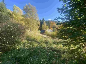 Prodej pozemku, Lučany nad Nisou - Jindřichov, 179 m2