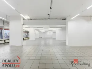 Pronájem obchodního prostoru, Pardubice - Zelené Předměstí, Palackého třída, 395 m2