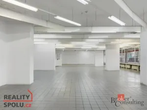 Pronájem obchodního prostoru, Pardubice - Zelené Předměstí, Palackého třída, 395 m2
