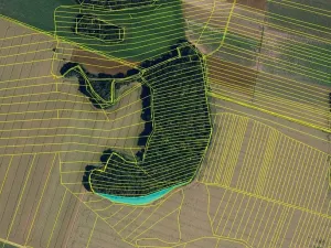 Prodej pole, Blučina, 19297 m2