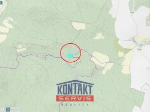 Prodej lesa, Kasejovice - Chloumek, 4325 m2