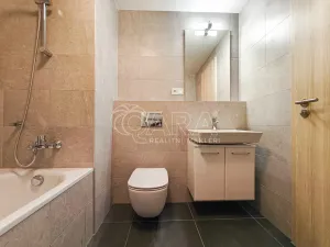 Pronájem bytu 2+kk, Praha - Žižkov, Olgy Havlové, 52 m2