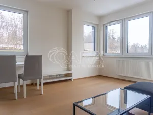 Pronájem bytu 2+kk, Praha - Žižkov, Rixdorfská, 51 m2