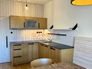 Pronájem bytu 1+kk, Mikulov, Purkyňova, 44 m2