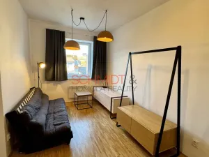 Pronájem bytu 1+kk, Mikulov, Purkyňova, 44 m2