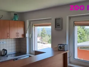 Prodej ubytování, Strážný, 462 m2