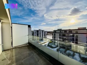 Pronájem kanceláře, Ostrava, F. X. Riepla, 116 m2