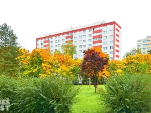 Pronájem bytu 3+1, Hradec Králové, Bratří Štefanů, 61 m2