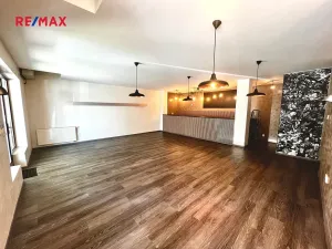 Prodej obchodního prostoru, Uherské Hradiště, Dlouhá, 75 m2