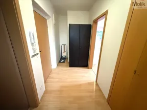 Pronájem bytu 2+kk, Most, Radniční, 56 m2