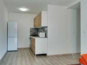 Pronájem bytu 2+kk, Kralupy nad Vltavou, Přemyslova, 49 m2