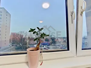 Prodej bytu 3+kk, Praha - Kamýk, Cholupická, 46 m2