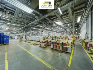 Pronájem výrobních prostor, Plzeň - Skvrňany, U Nové Hospody, 1000 m2