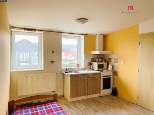 Pronájem bytu 2+kk, Týnec nad Sázavou, 30 m2