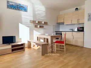 Pronájem bytu 1+kk, Vacenovice, Na Dědině, 31 m2