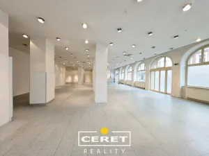 Pronájem obchodního prostoru, Žatec, Oblouková, 288 m2