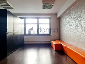 Pronájem obchodního prostoru, Praha, Chrudimská, 360 m2
