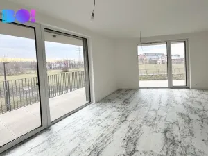 Pronájem bytu 2+kk, Ostrava, F. X. Riepla, 54 m2