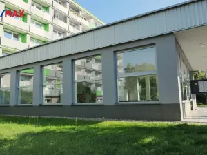 Pronájem bytu 1+kk, Hradec Králové - Nový Hradec Králové, Brožíkova, 22 m2