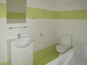 Pronájem bytu 1+1, Plzeň - Jižní Předměstí, V Šipce, 54 m2