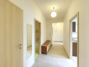 Pronájem bytu 1+1, Plzeň - Jižní Předměstí, V Šipce, 54 m2