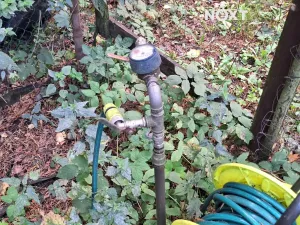 Prodej zahrady, Trutnov, 390 m2