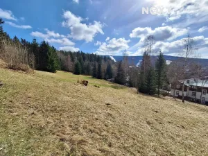 Prodej pozemku pro bydlení, Špindlerův Mlýn, 6129 m2